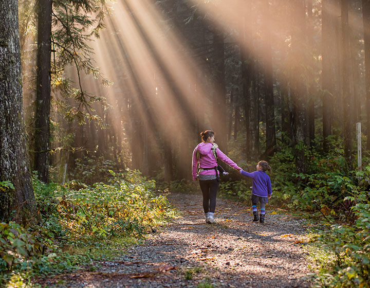 Maple Ridge trail