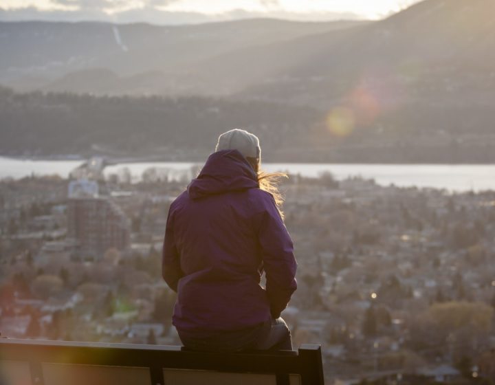 City of Kelowna view